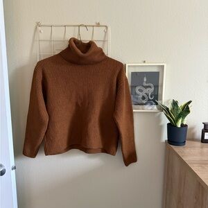 Aritzia Brown Turtleneck Sweater
